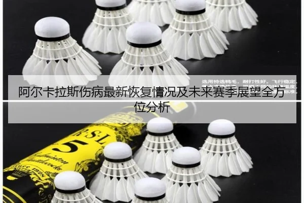 a-er-ka-la-si-shang-bing-zui-xin-hui-fu-qing-kuang-ji-wei-lai-sai-ji-zhan-wang-quan-fang-wei-fen-xi-2-744.jpg