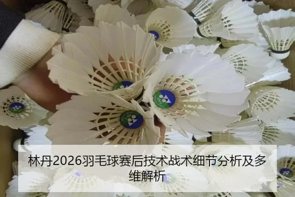 林丹2026羽毛球赛后技术战术细节分析及多维解析