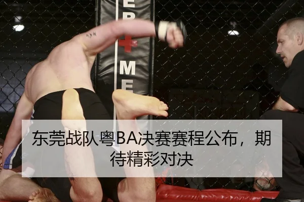 东莞战队粤BA决赛赛程公布，期待精彩对决