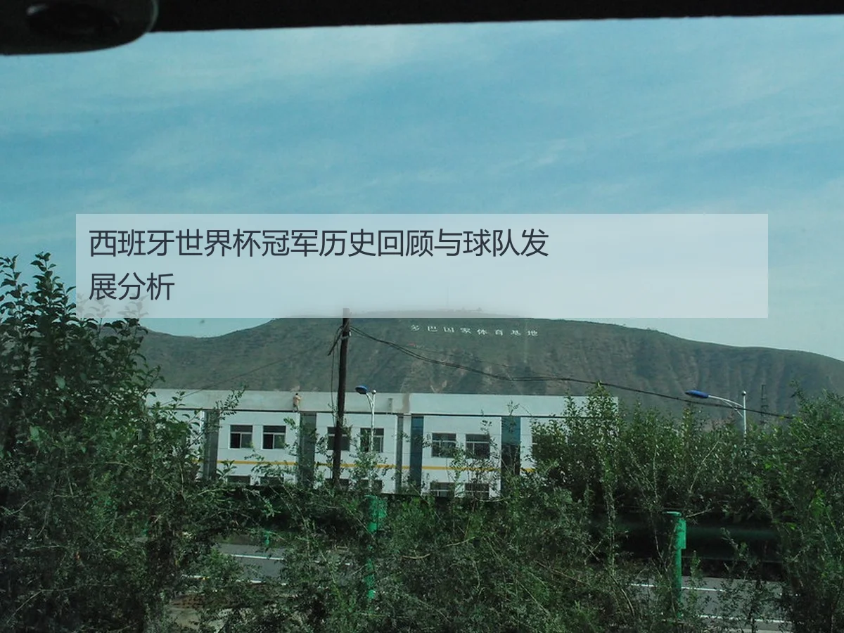 西班牙世界杯冠军历史回顾与球队发展分析